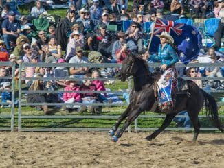 Canungra Rodeo