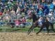 Canungra Rodeo