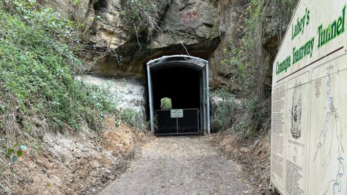 Lahey's Canungra Tramway Tunnel. Image supplied.