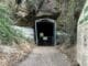 Lahey's Canungra Tramway Tunnel. Image supplied.