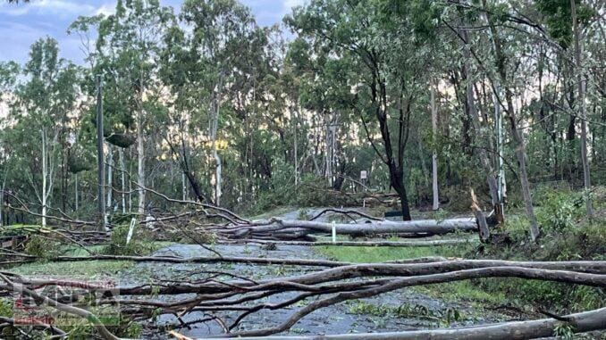 Widespread damage at Tamborine following the Christmas storms. Photo by Christine Hunt.