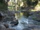 Canungra Creek with walker