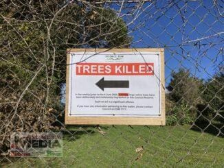 Trees killed sign