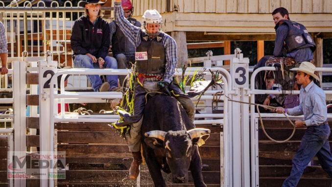 Canungra Rodeo 2024