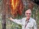 Lamington National Park Ranger in Charge Wil Buch burns a grass tree.