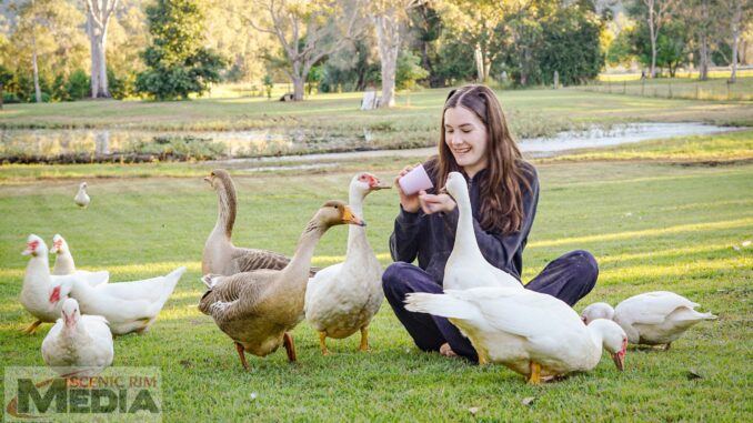 Harper Brown and Ducks